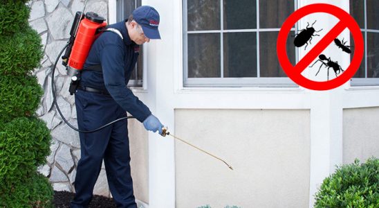 Mut Gümüşkurt İlaçlama böcek ilaçlama ve haşere kontrolü — ilaclama-tr.com